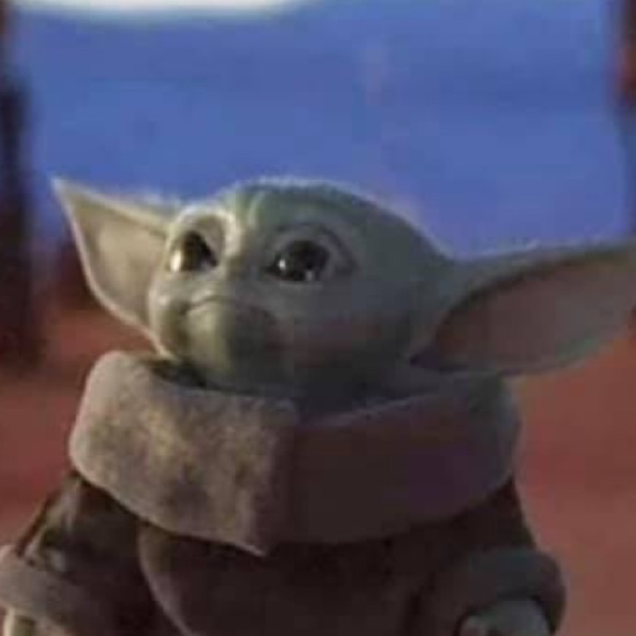 Meet your Posher, Jacob - Picture 1 of 1